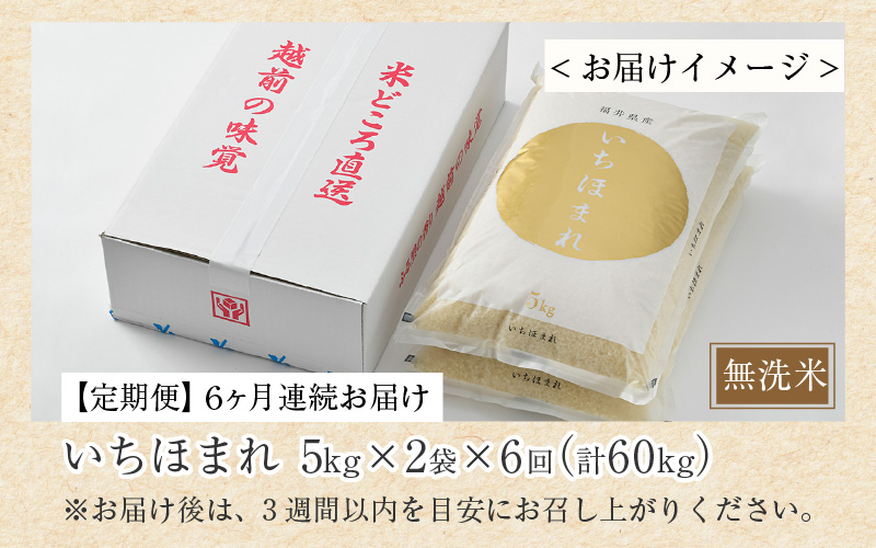 【令和7年産】定期便6回 いちほまれ 無洗米 10kg×6回（60kg）／ 福井県産 ブランド米 ご飯 白米 新鮮 [aw064-o002]