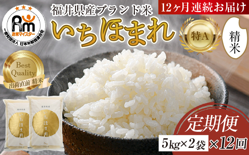 【令和8年産】定期便12回 いちほまれ 精米 10kg×12回（計120kg）《お米マイスターが発送直前に精米！》／ 福井県産 ブランド米 ご飯 白米 新鮮 [aw064-o003]