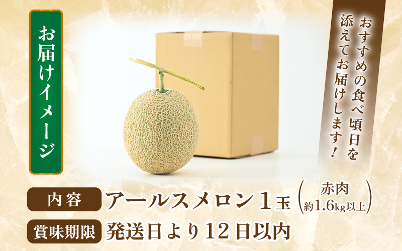 【先行予約】【赤肉】アールスメロン 1玉（約1.6kg以上）赤肉品種 高級メロン！ ／ マスクメロン 大玉 果物 フルーツ 夏 ギフト 農家直送 ※2027年6月下旬以降順次発送予定 [aw065-a003]