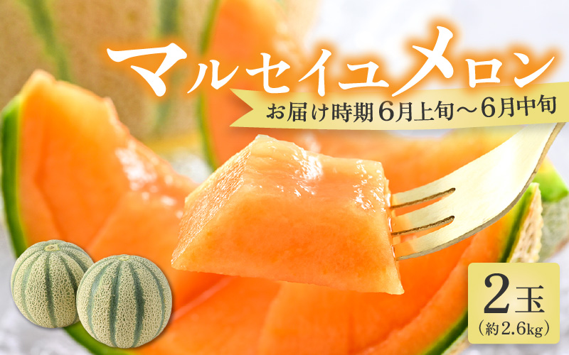 【先行予約】マルセイユメロン 2玉 約2.6kg以上（約1.3kg以上×2玉）大人気の赤肉品種！高級メロンの味わい ／ 果物 フルーツ ギフト 農家直送 ※2027年6月上旬以降順次発送 [aw065-a005]