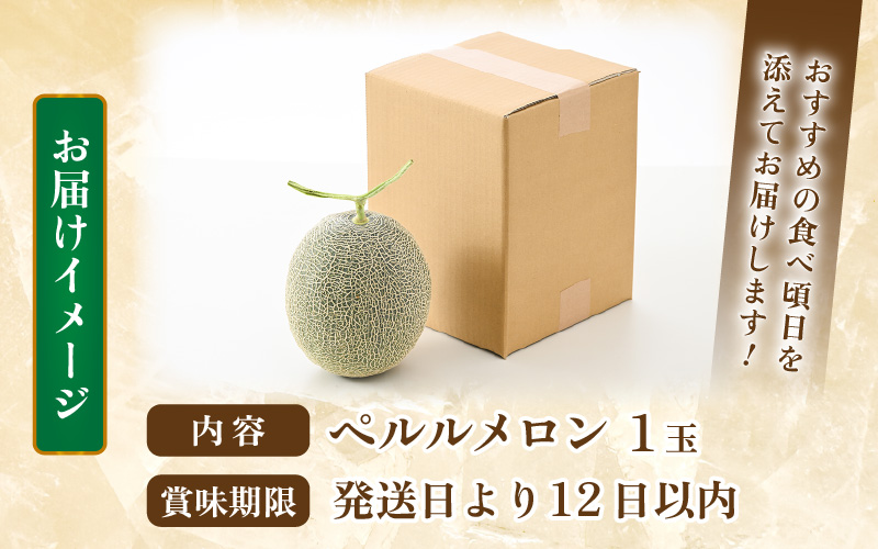 【先行予約】ペルルメロン 1玉（約2kg以上）青肉品種 高級メロン！ ／ マスクメロン 大玉 果物 フルーツ ギフト 農家直送 ※2027年6月下旬以降順次発送 [aw065-a006]