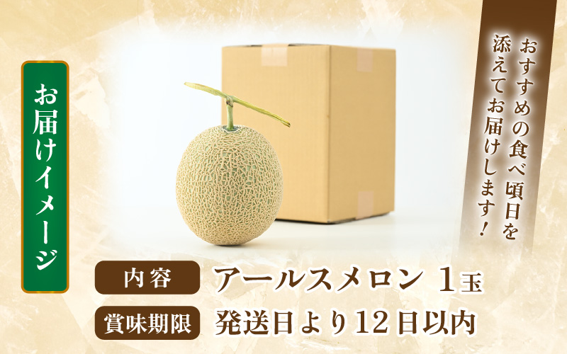【先行予約】秋 アールスメロン 1玉（約1.6kg以上）青肉品種 高級メロン！ ／ マスクメロン 大玉 果物 フルーツ ギフト 農家直送 ※2026年9月中旬以降発送 [aw065-a008]