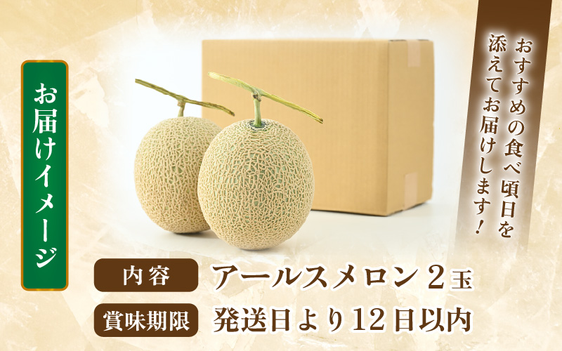 【先行予約】秋 アールスメロン 2玉（約1.6kg以上×2玉）青肉品種 高級メロン！ ／ マスクメロン 大玉 果物 フルーツ ギフト 農家直送 ※2026年9月中旬以降発送 [aw065-a009]
