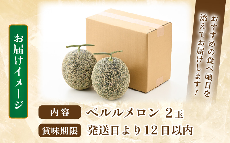 【先行予約】ペルルメロン 2玉（約2kg以上×2玉）青肉品種 高級メロン！ ／ マスクメロン 大玉 果物 フルーツ ギフト 農家直送 ※2027年6月下旬以降順次発送 [aw065-a016]