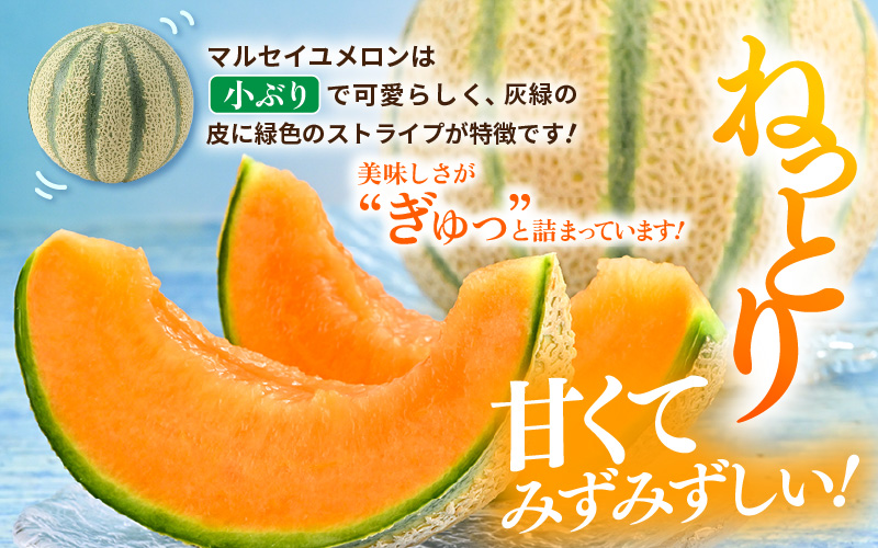 【先行予約】マルセイユメロン 4玉 約5.2kg前後（約1.3㎏前後×4玉）大人気の赤肉品種！高級メロンの味わい ／ 果物 フルーツ ギフト 農家直送 ※2027年6月上旬以降順次発送 [aw065-a019]