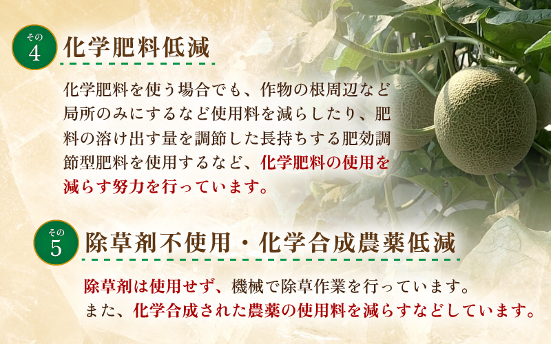 【先行予約】マルセイユメロン 4玉 約5.2kg前後（約1.3㎏前後×4玉）大人気の赤肉品種！高級メロンの味わい ／ 果物 フルーツ ギフト 農家直送 ※2027年6月上旬以降順次発送 [aw065-a019]