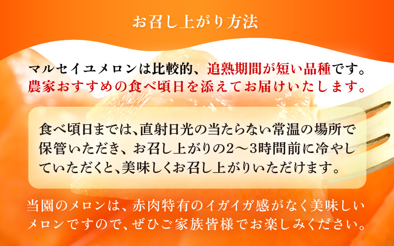 【先行予約】マルセイユメロン 4玉 約5.2kg前後（約1.3㎏前後×4玉）大人気の赤肉品種！高級メロンの味わい ／ 果物 フルーツ ギフト 農家直送 ※2027年6月上旬以降順次発送 [aw065-a019]