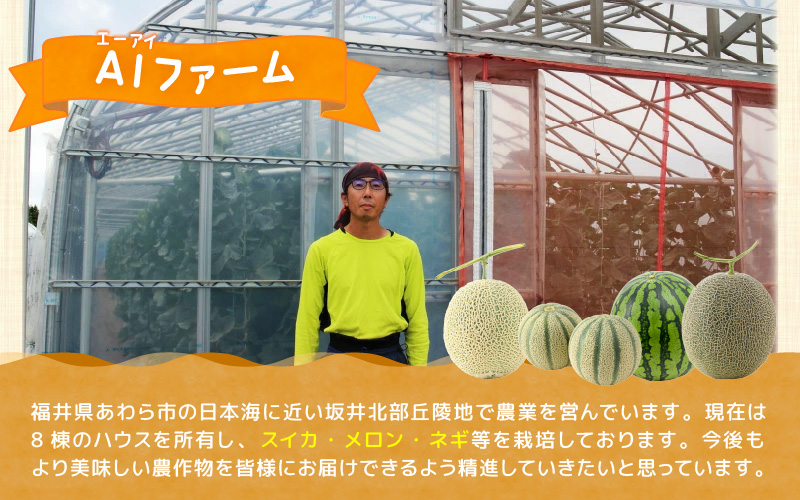 【先行予約】マルセイユメロン 4玉 約5.2kg前後（約1.3㎏前後×4玉）大人気の赤肉品種！高級メロンの味わい ／ 果物 フルーツ ギフト 農家直送 ※2027年6月上旬以降順次発送 [aw065-a019]