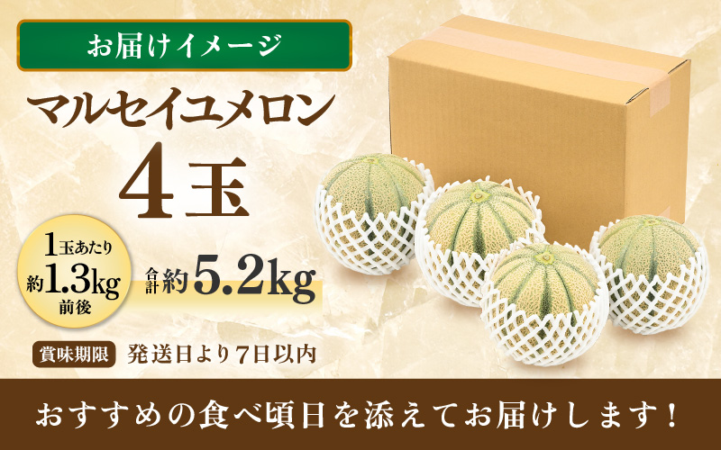 【先行予約】マルセイユメロン 4玉 約5.2kg前後（約1.3㎏前後×4玉）大人気の赤肉品種！高級メロンの味わい ／ 果物 フルーツ ギフト 農家直送 ※2027年6月上旬以降順次発送 [aw065-a019]