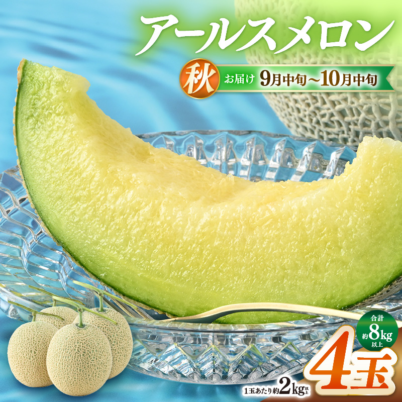 【先行予約】秋 アールスメロン 4玉 約8kg以上（約2㎏以上×4玉）青肉品種 高級メロン！ ／ マスクメロン 大玉 果物 フルーツ ギフト 農家直送 ※2027年9月中旬以降発送 [aw065-b001]