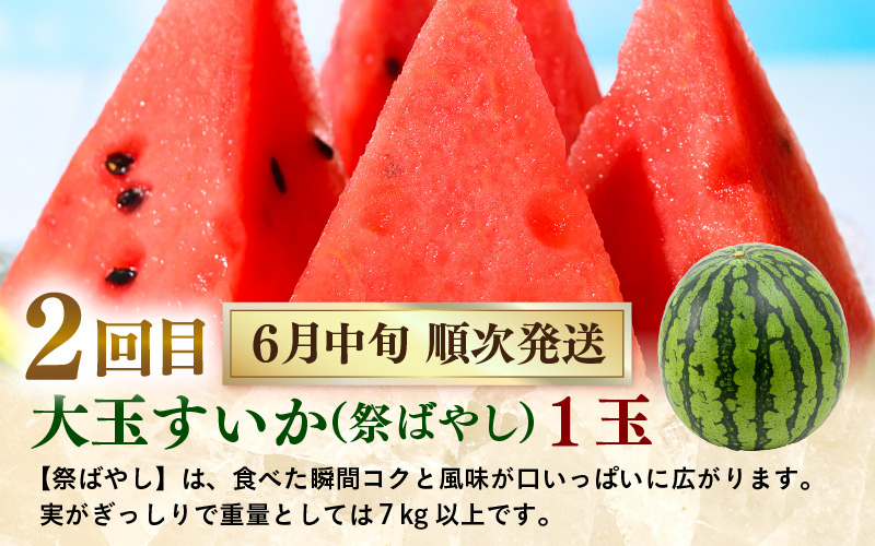 【先行予約】《定期便全5回》フルーツ大満足定期便 ／ すいか マスクメロン 高級メロン 大玉 果物 フルーツ 夏 ギフト 農家直送 ※2027年6月上旬以降発送  [aw065-d001]