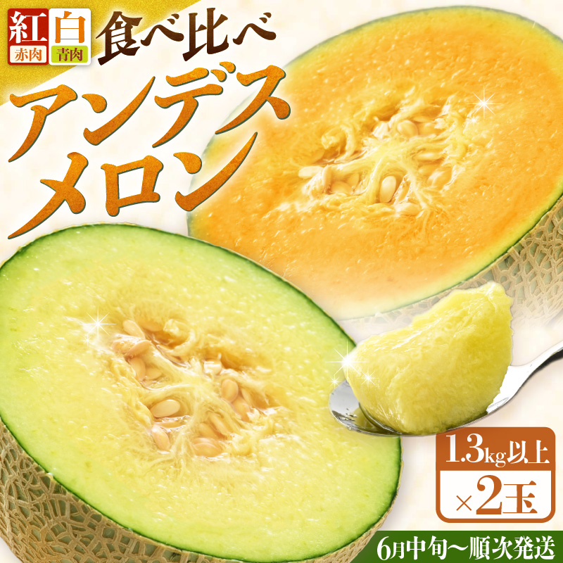 【先行予約】紅白アンデスメロン 青肉・赤肉 食べ比べセット ４L(1玉1.3kg以上）×2玉 ／ 果物 フルーツ 産地直送 糖度 ギフト 贈り物 福井県あわら市 ※2027年6月中旬以降順次発送 [aw067-a006]