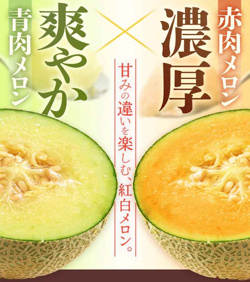 【先行予約】紅白アンデスメロン 青肉・赤肉 食べ比べセット ４L(1玉1.3kg以上）×2玉 ／ 果物 フルーツ 産地直送 糖度 ギフト 贈り物 福井県あわら市 ※2027年6月中旬以降順次発送 [aw067-a006]