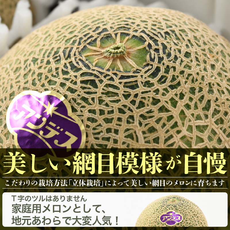 【先行予約】紅白アンデスメロン 青肉・赤肉 食べ比べセット ４L(1玉1.3kg以上）×2玉 ／ 果物 フルーツ 産地直送 糖度 ギフト 贈り物 福井県あわら市 ※2027年6月中旬以降順次発送 [aw067-a006]