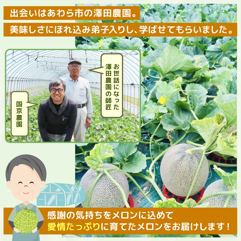 【先行予約】紅白アンデスメロン 青肉・赤肉 食べ比べセット ４L(1玉1.3kg以上）×2玉 ／ 果物 フルーツ 産地直送 糖度 ギフト 贈り物 福井県あわら市 ※2027年6月中旬以降順次発送 [aw067-a006]