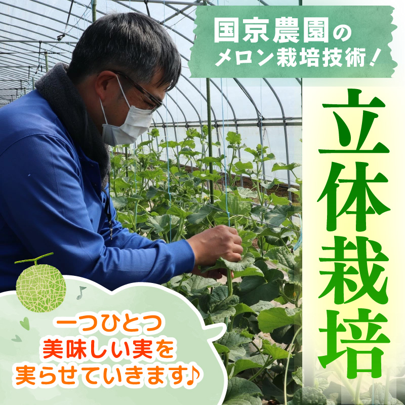 【先行予約】紅白アンデスメロン 青肉・赤肉 食べ比べセット ４L(1玉1.3kg以上）×2玉 ／ 果物 フルーツ 産地直送 糖度 ギフト 贈り物 福井県あわら市 ※2027年6月中旬以降順次発送 [aw067-a006]