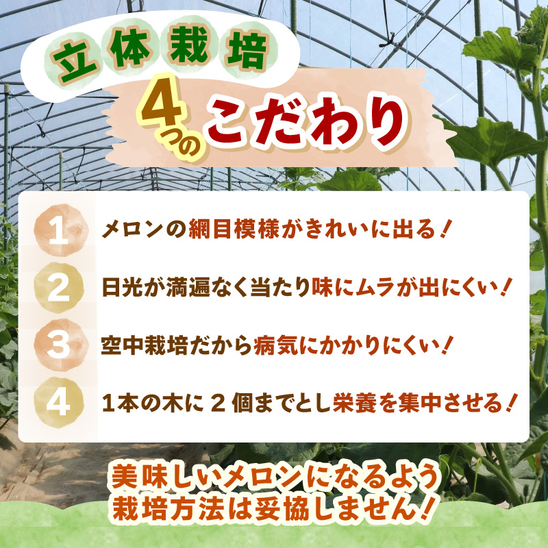 【先行予約】紅白アンデスメロン 青肉・赤肉 食べ比べセット ４L(1玉1.3kg以上）×2玉 ／ 果物 フルーツ 産地直送 糖度 ギフト 贈り物 福井県あわら市 ※2027年6月中旬以降順次発送 [aw067-a006]