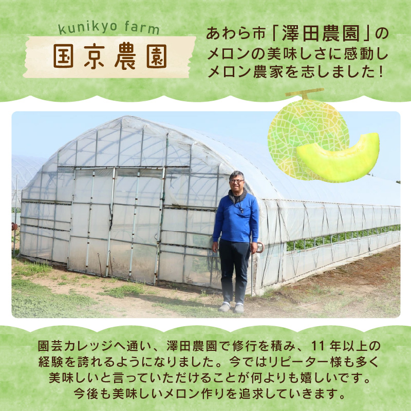 【先行予約】紅白アンデスメロン 青肉・赤肉 食べ比べセット ４L(1玉1.3kg以上）×2玉 ／ 果物 フルーツ 産地直送 糖度 ギフト 贈り物 福井県あわら市 ※2027年6月中旬以降順次発送 [aw067-a006]