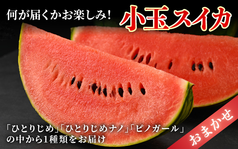 【先行予約】佐藤農園の小玉スイカ・マルセイユメロン セット 計2玉（約2.5kg～3kg） 秀品 農家直送 有機肥料 低農薬 ※2027年5月下旬～6月末の間に順次発送予定 [aw069-a004]