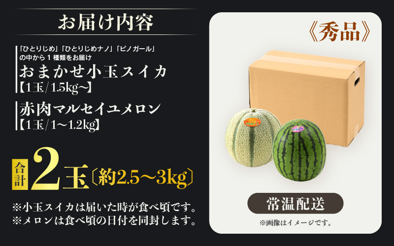 【先行予約】佐藤農園の小玉スイカ・マルセイユメロン セット 計2玉（約2.5kg～3kg） 秀品 農家直送 有機肥料 低農薬 ※2027年5月下旬～6月末の間に順次発送予定 [aw069-a004]