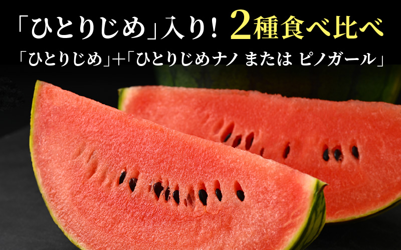 【先行予約】抜群の甘さ！佐藤農園の小玉スイカ 食べ比べセット(ひとりじめ+ひとりじめナノまたはピノガール) 2玉（計3kg以上）／ 秀品 農家直送 有機肥料 低農薬 ※2027年5月下旬～6月末の間に順次発送予定 [aw069-a013]