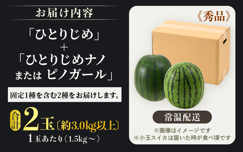 【先行予約】抜群の甘さ！佐藤農園の小玉スイカ 食べ比べセット(ひとりじめ+ひとりじめナノまたはピノガール) 2玉（計3kg以上）／ 秀品 農家直送 有機肥料 低農薬 ※2027年5月下旬～6月末の間に順次発送予定 [aw069-a013]