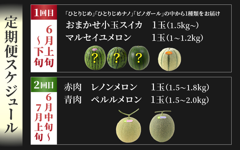 【先行予約】《定期便全2回》佐藤農園のフルーツ定期便 朝採り 計4玉（小玉スイカ・マルセイユメロン・レノンメロン・ペルルメロン）農家直送 秀品 お届け！※2027年5月下旬～7月末の間に順次発送予定 [aw069-b001]