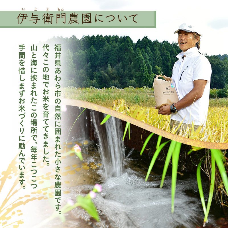 【先行予約】【令和8年産】 にじのきらめき 玄米 5kg／ 鮮度抜群 5キロ 福井県あわら産 玄米 お米 ※2026年9月下旬より順次発送 [aw071-a013]