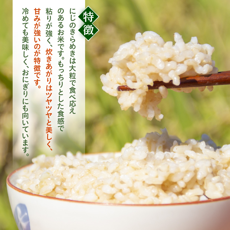 【先行予約】【令和8年産】 にじのきらめき 玄米 5kg／ 鮮度抜群 5キロ 福井県あわら産 玄米 お米 ※2026年9月下旬より順次発送 [aw071-a013]