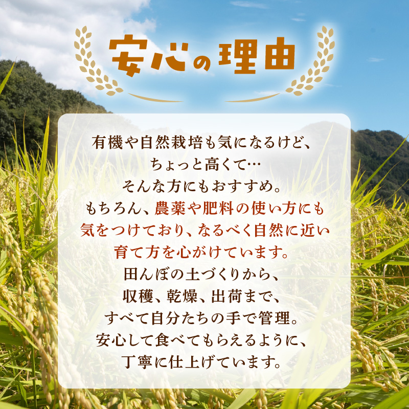 【先行予約】【令和8年産】 にじのきらめき 玄米 5kg／ 鮮度抜群 5キロ 福井県あわら産 玄米 お米 ※2026年9月下旬より順次発送 [aw071-a013]