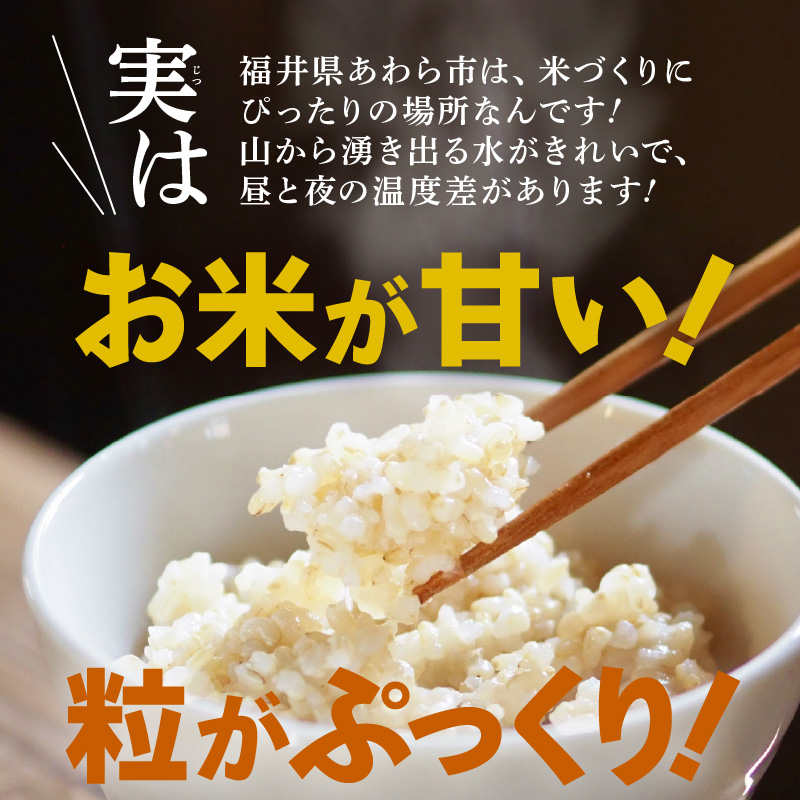 【先行予約】【令和8年産】 にじのきらめき 玄米 5kg／ 鮮度抜群 5キロ 福井県あわら産 玄米 お米 ※2026年9月下旬より順次発送 [aw071-a013]