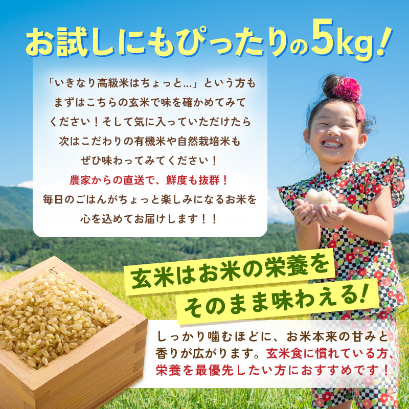 【先行予約】【令和8年産】 にじのきらめき 玄米 5kg／ 鮮度抜群 5キロ 福井県あわら産 玄米 お米 ※2026年9月下旬より順次発送 [aw071-a013]