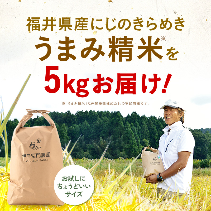 【先行予約】【令和8年産】 にじのきらめき うまみ精米 5kg／ 鮮度抜群 5キロ 福井県あわら産 玄米 お米 ※2026年9月下旬より順次発送 [aw071-a014]