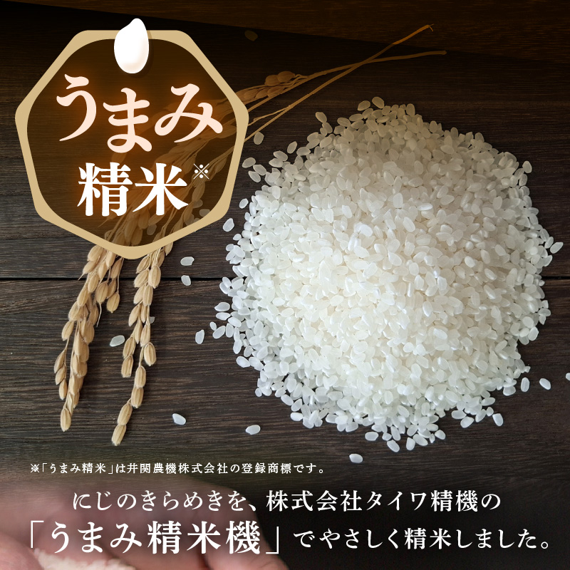 【先行予約】【令和8年産】 にじのきらめき うまみ精米 5kg／ 鮮度抜群 5キロ 福井県あわら産 玄米 お米 ※2026年9月下旬より順次発送 [aw071-a014]