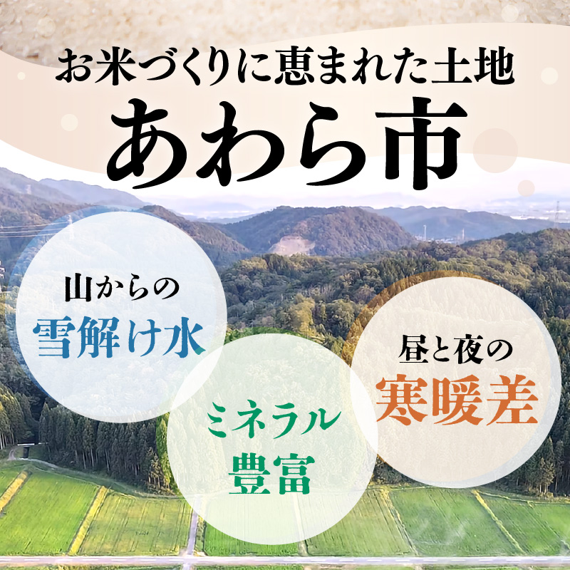 【先行予約】【令和8年産】 にじのきらめき うまみ精米 5kg／ 鮮度抜群 5キロ 福井県あわら産 玄米 お米 ※2026年9月下旬より順次発送 [aw071-a014]