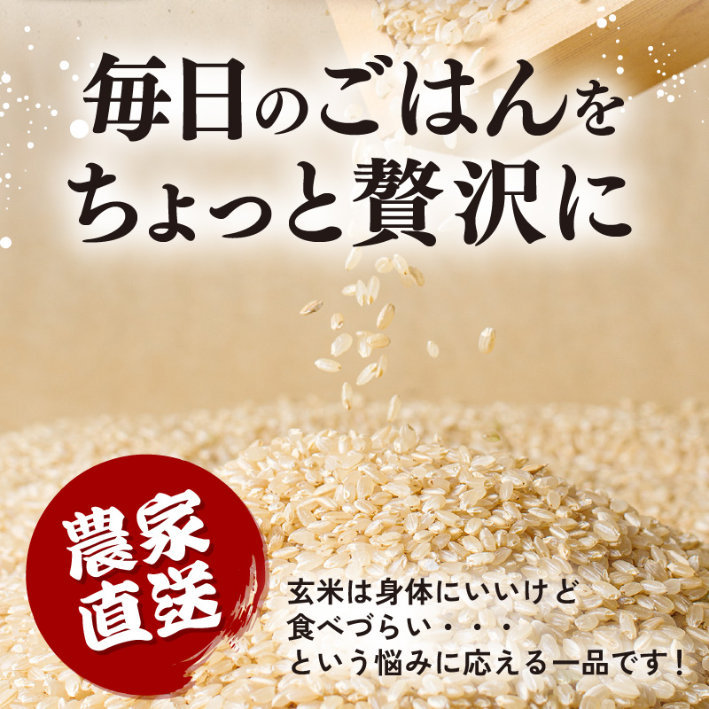 【先行予約】【令和8年産】 にじのきらめき うまみ玄米 5kg ／ 鮮度抜群 5キロ 福井県あわら産 玄米 お米 ※2026年9月下旬より順次発送 [aw071-a016]