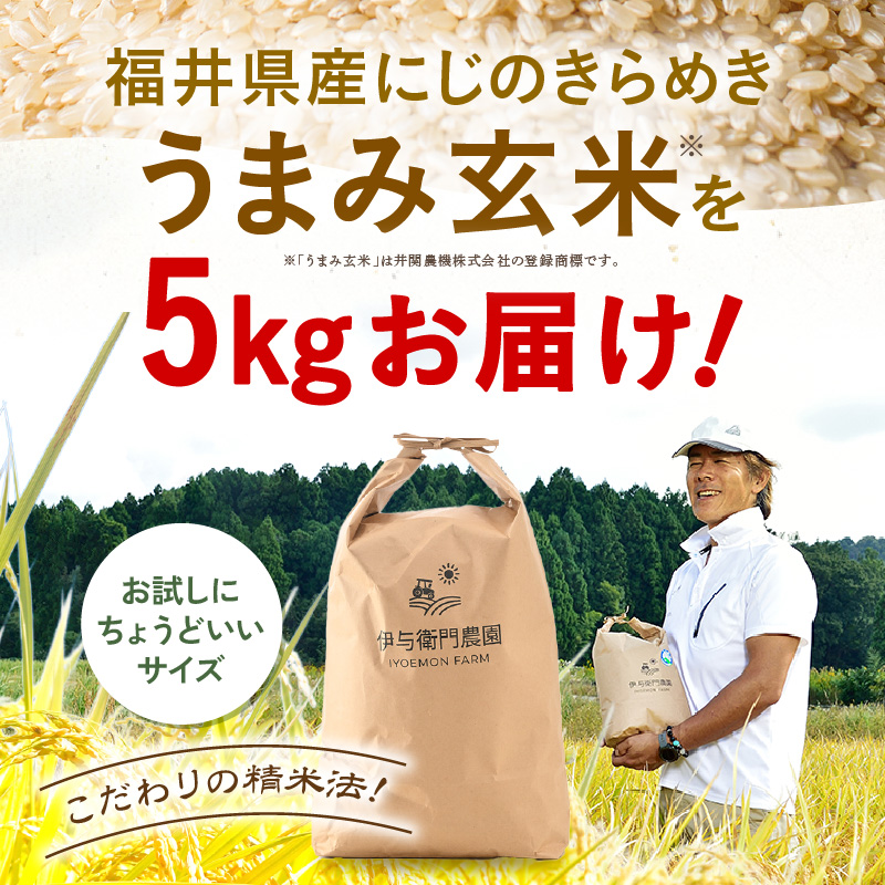 【先行予約】【令和8年産】 にじのきらめき うまみ玄米 5kg ／ 鮮度抜群 5キロ 福井県あわら産 玄米 お米 ※2026年9月下旬より順次発送 [aw071-a016]