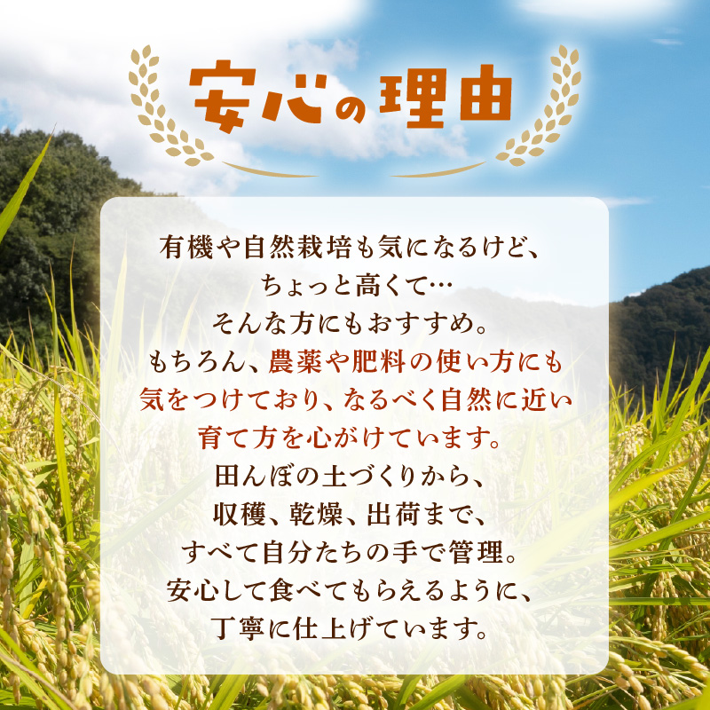 【先行予約】【令和8年産】 にじのきらめき うまみ玄米 5kg ／ 鮮度抜群 5キロ 福井県あわら産 玄米 お米 ※2026年9月下旬より順次発送 [aw071-a016]