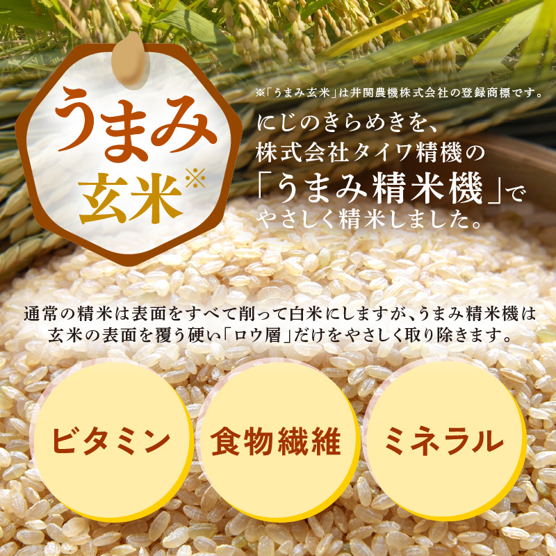 【先行予約】【令和8年産】 にじのきらめき うまみ玄米 5kg ／ 鮮度抜群 5キロ 福井県あわら産 玄米 お米 ※2026年9月下旬より順次発送 [aw071-a016]