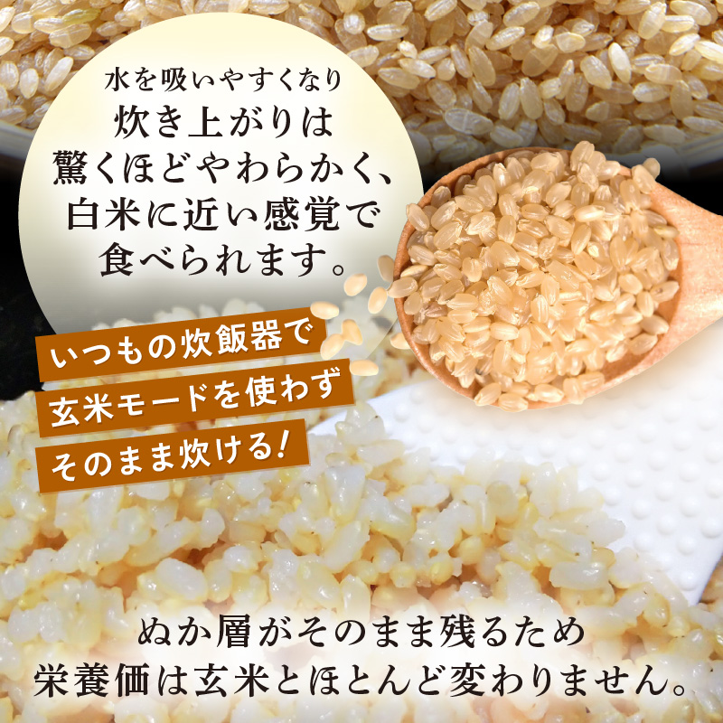 【先行予約】【令和8年産】 にじのきらめき うまみ玄米 5kg ／ 鮮度抜群 5キロ 福井県あわら産 玄米 お米 ※2026年9月下旬より順次発送 [aw071-a016]