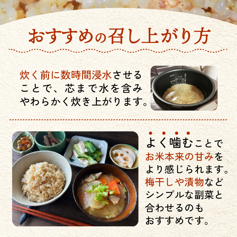 【先行予約】【令和8年産】 にじのきらめき うまみ玄米 5kg ／ 鮮度抜群 5キロ 福井県あわら産 玄米 お米 ※2026年9月下旬より順次発送 [aw071-a016]