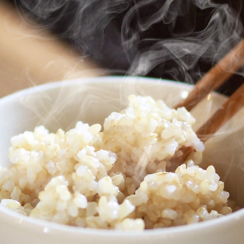 【先行予約】【令和8年産】 にじのきらめき うまみ玄米 5kg ／ 鮮度抜群 5キロ 福井県あわら産 玄米 お米 ※2026年9月下旬より順次発送 [aw071-a016]