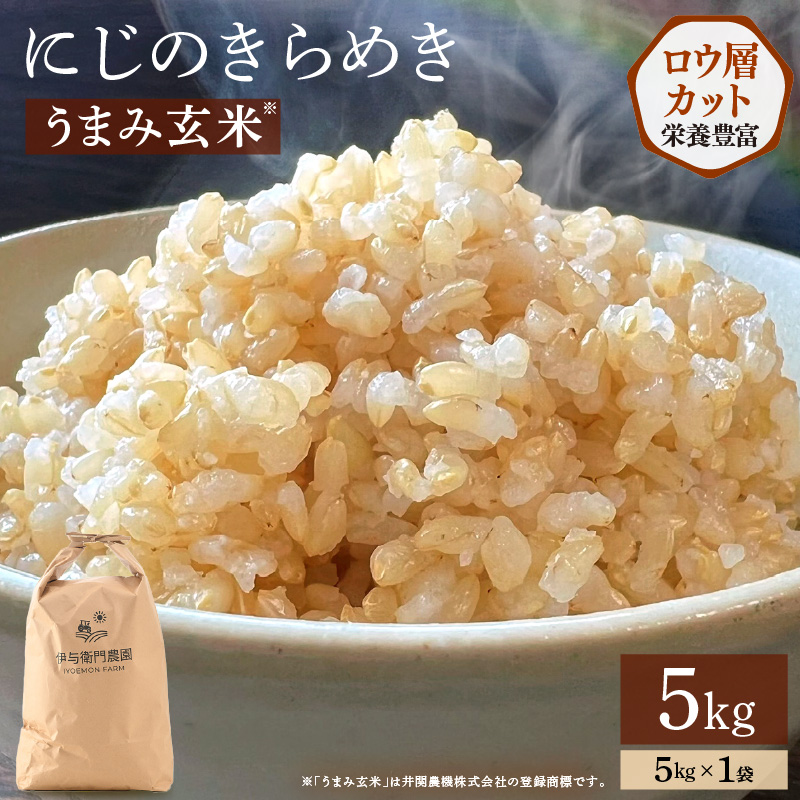 【先行予約】【令和8年産】 にじのきらめき うまみ玄米 5kg ／ 鮮度抜群 5キロ 福井県あわら産 玄米 お米 ※2026年9月下旬より順次発送 [aw071-a016]