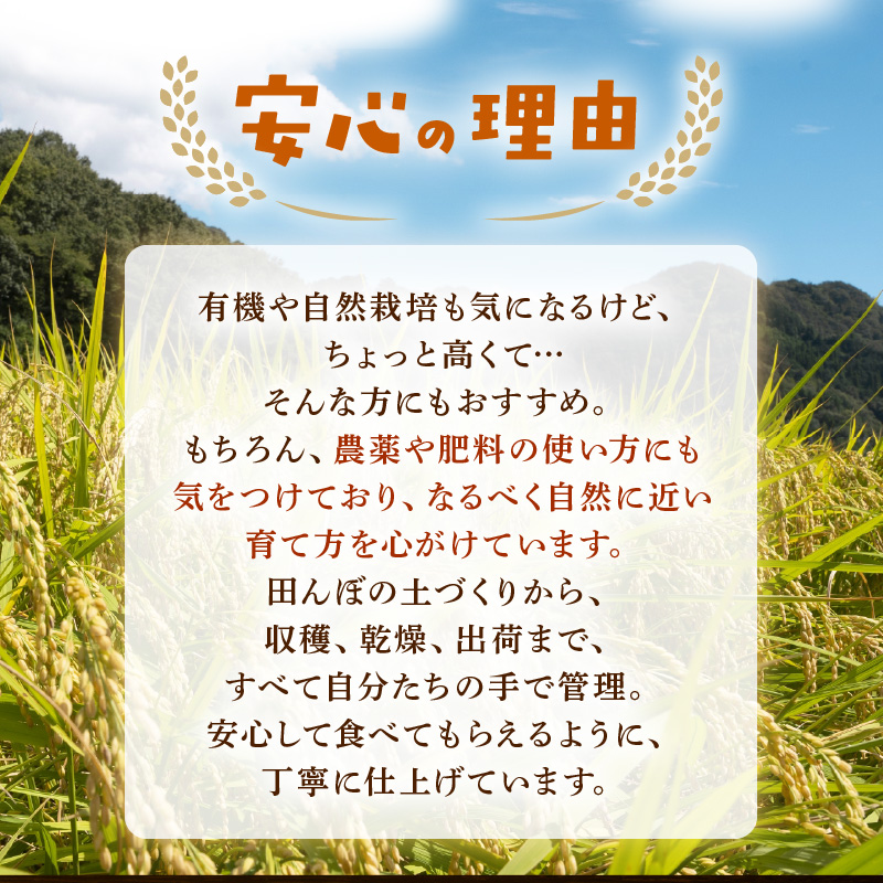 【先行予約】【令和8年産】 定期便 ≪3ヶ月連続お届け≫ にじのきらめき うまみ精米 5kg×3回／ 鮮度抜群 15キロ 福井県あわら産 玄米 お米 ※2026年10月上旬より順次発送 [aw071-c006]