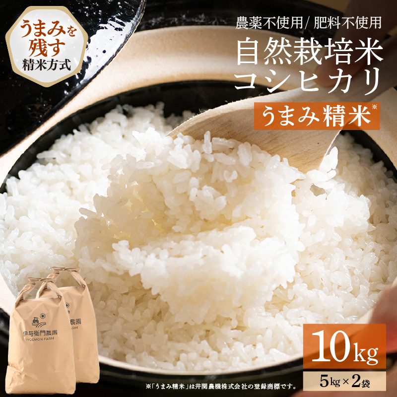 【先行予約】【令和8年産】伊与衛門農園の自然栽培コシヒカリ うまみ精米 5kg×2袋（計10kg） ＜温度と湿度を常時管理し新鮮米を出荷！＞ / 米 白米 自然の力 高品質 鮮度抜群 ブランド米 福井県 あわら市産 スマート農業 ※2026年10月上旬より順次発送予定 [aw071-d003]
