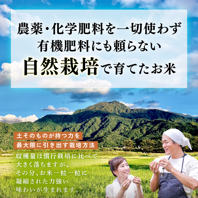 【先行予約】【令和8年産】伊与衛門農園の自然栽培コシヒカリ うまみ精米 5kg×2袋（計10kg） ＜温度と湿度を常時管理し新鮮米を出荷！＞ / 米 白米 自然の力 高品質 鮮度抜群 ブランド米 福井県 あわら市産 スマート農業 ※2026年10月上旬より順次発送予定 [aw071-d003]