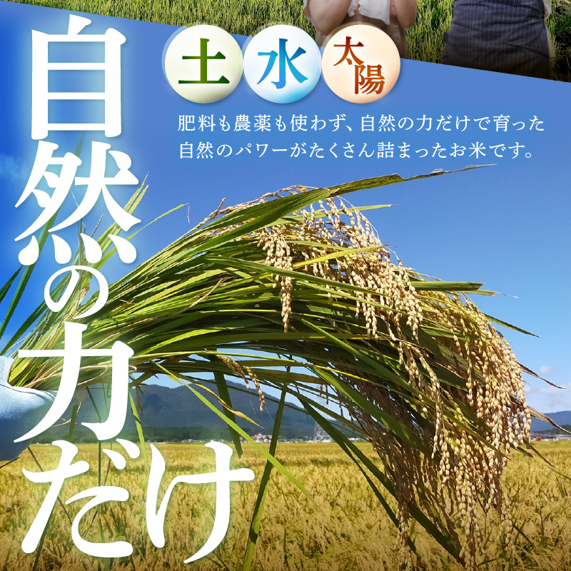 【先行予約】【令和8年産】伊与衛門農園の自然栽培コシヒカリ うまみ精米 5kg×2袋（計10kg） ＜温度と湿度を常時管理し新鮮米を出荷！＞ / 米 白米 自然の力 高品質 鮮度抜群 ブランド米 福井県 あわら市産 スマート農業 ※2026年10月上旬より順次発送予定 [aw071-d003]