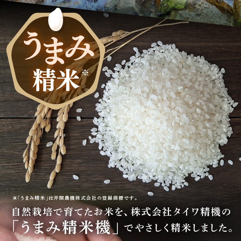 【先行予約】【令和8年産】伊与衛門農園の自然栽培コシヒカリ うまみ精米 5kg×2袋（計10kg） ＜温度と湿度を常時管理し新鮮米を出荷！＞ / 米 白米 自然の力 高品質 鮮度抜群 ブランド米 福井県 あわら市産 スマート農業 ※2026年10月上旬より順次発送予定 [aw071-d003]