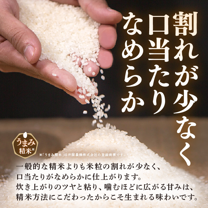 【先行予約】【令和8年産】伊与衛門農園の自然栽培コシヒカリ うまみ精米 5kg×2袋（計10kg） ＜温度と湿度を常時管理し新鮮米を出荷！＞ / 米 白米 自然の力 高品質 鮮度抜群 ブランド米 福井県 あわら市産 スマート農業 ※2026年10月上旬より順次発送予定 [aw071-d003]