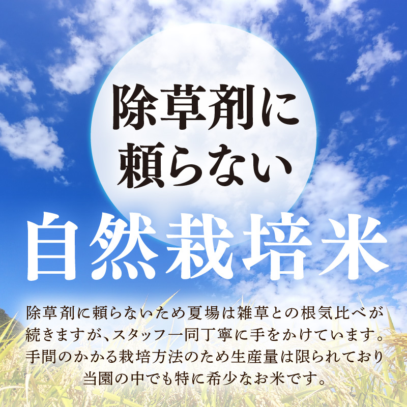【先行予約】【令和8年産】伊与衛門農園の自然栽培コシヒカリ うまみ精米 5kg×2袋（計10kg） ＜温度と湿度を常時管理し新鮮米を出荷！＞ / 米 白米 自然の力 高品質 鮮度抜群 ブランド米 福井県 あわら市産 スマート農業 ※2026年10月上旬より順次発送予定 [aw071-d003]